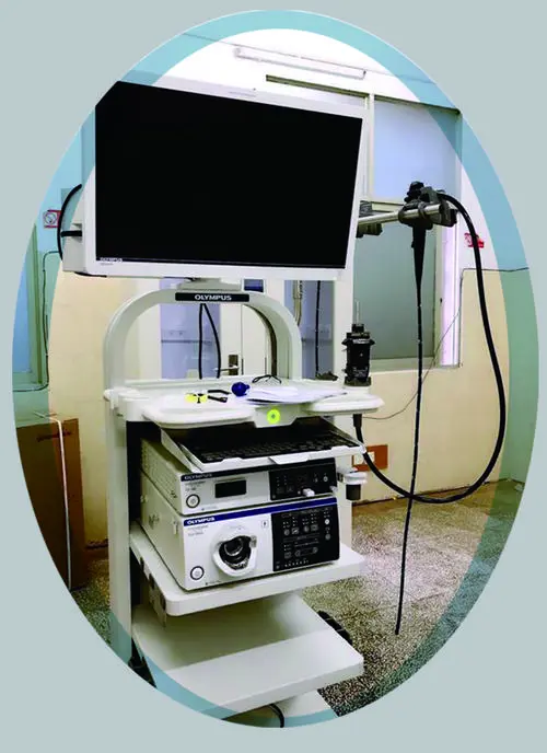 Medical display application endoscope