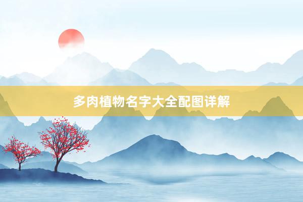 多肉植物名字大全配图详解