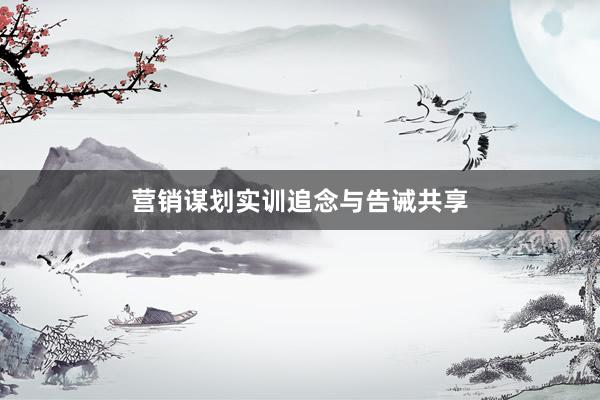营销谋划实训追念与告诫共享
